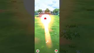 ✨Tepig in Pokemon Go!#catchlegendarypokemon#shorts#fyp#pokemongame#shinypokemon#pokemon#shiny#Pogo