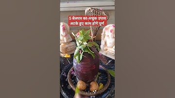 5 बेलपत्र चढ़ाने से होगे रुके हुए काम पूर्ण करे ये उपाय #शिवमहापुराण