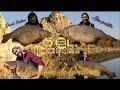 Carpfishing  monstruos de orellana