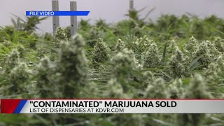 ‘Contaminated’ marijuana found at several Denver metro dispensaries