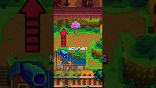 ⁉️ How to FINISH the Mysterious Qi Quest in Stardew Valley 🏘️