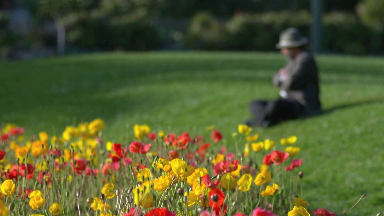 Копия видео "Мое измененное видео"