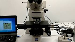 Zeiss Axioplan 2ie Imaging Fluorescence Upright Microscope [BOSTONIND] - 12993