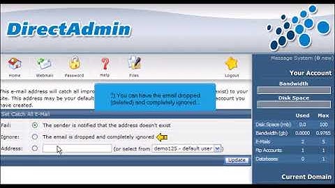 How to create a catch all email account in Direct Admin