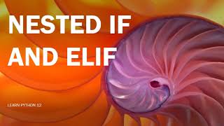Famous 12  Elif and nested if Wealth