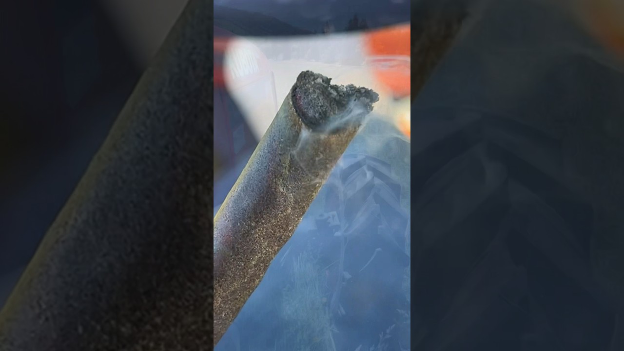 There’s more to Sun Grown Terps than genetics 