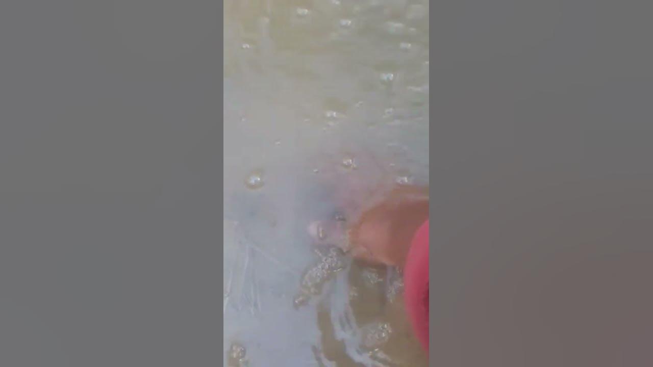 Bubbling Boiling Steaming Water Why Does Dirty Water Come Out Of The bubbling-boiling-steaming-water-why-does-dirty-water-come-out-of-the