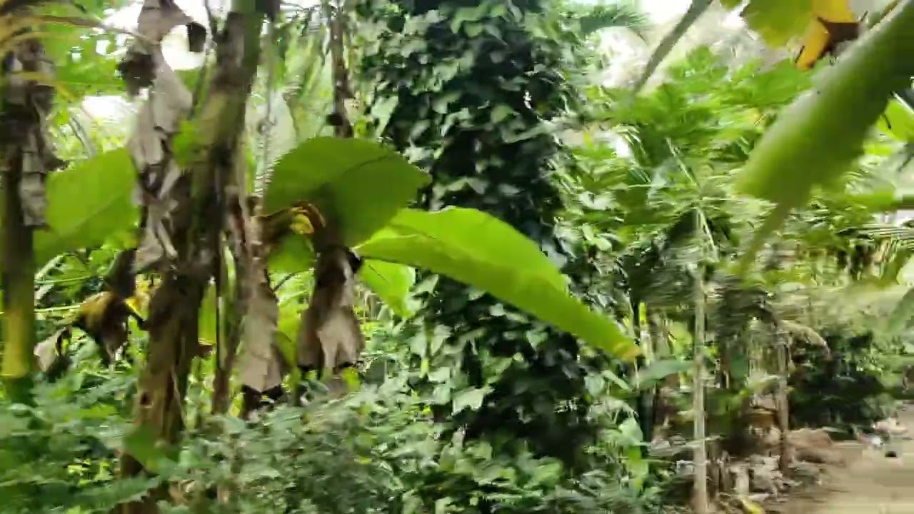 ,252) 3,11 acre / total 3 core 80 laks negotiable/ maddur / Bangalore 95 km