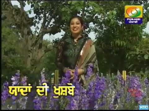 Dil lea Gaya New year song 1994 by Ranjana ji