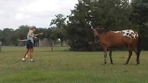 Gerri & Snoopy Playing at  Liberty
