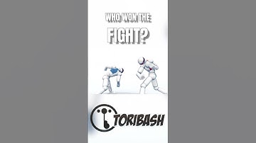 Who won the fight?!  #game #fightinggames #toribash #gameplay