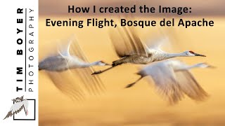 How I created the Image: Evening Flight Bosque del Apache