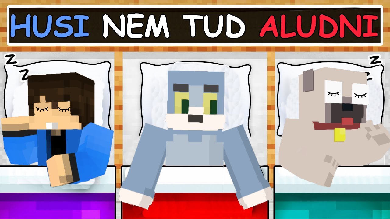 HUSI NEM TUD ALUDNI A MINECRAFTBAN!