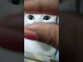 #cat #kashish #eyetrend #song #adoreble #cutecat my cat also following trend 😘❤️🥰 #beautiful #shorts