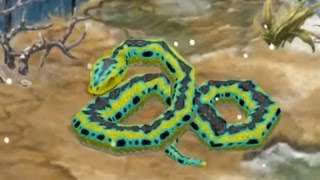 Jurassic Park Builder - Titanoboa [Glacier Park] [Limited]