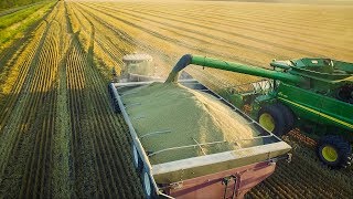 Manitoba Harvest 2017