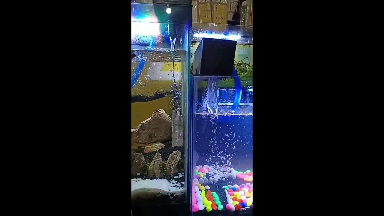  Model  aquascape minimalis  YouTube