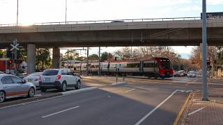 Cross Road/South Road, Clarence Gardens, SA | Adelaide Metro Railway Crossing