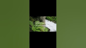 قرآن كريم | أرح سمعك ♡