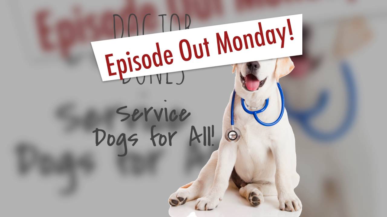 Ep 10 - Questionable Service Dogs Teaser - Pepito The Dog