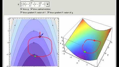 Constrained Optimization