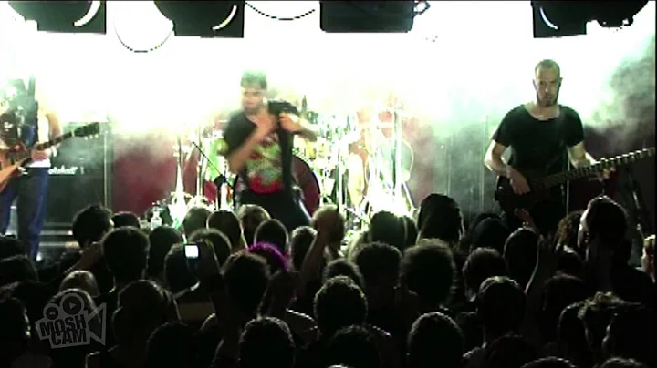 Mammal - Untitled 7 (Live in Sydney) | Moshcam