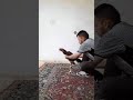 جوجه خروس لاری زیرسال