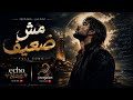  مش ضعيف                                         نجومي