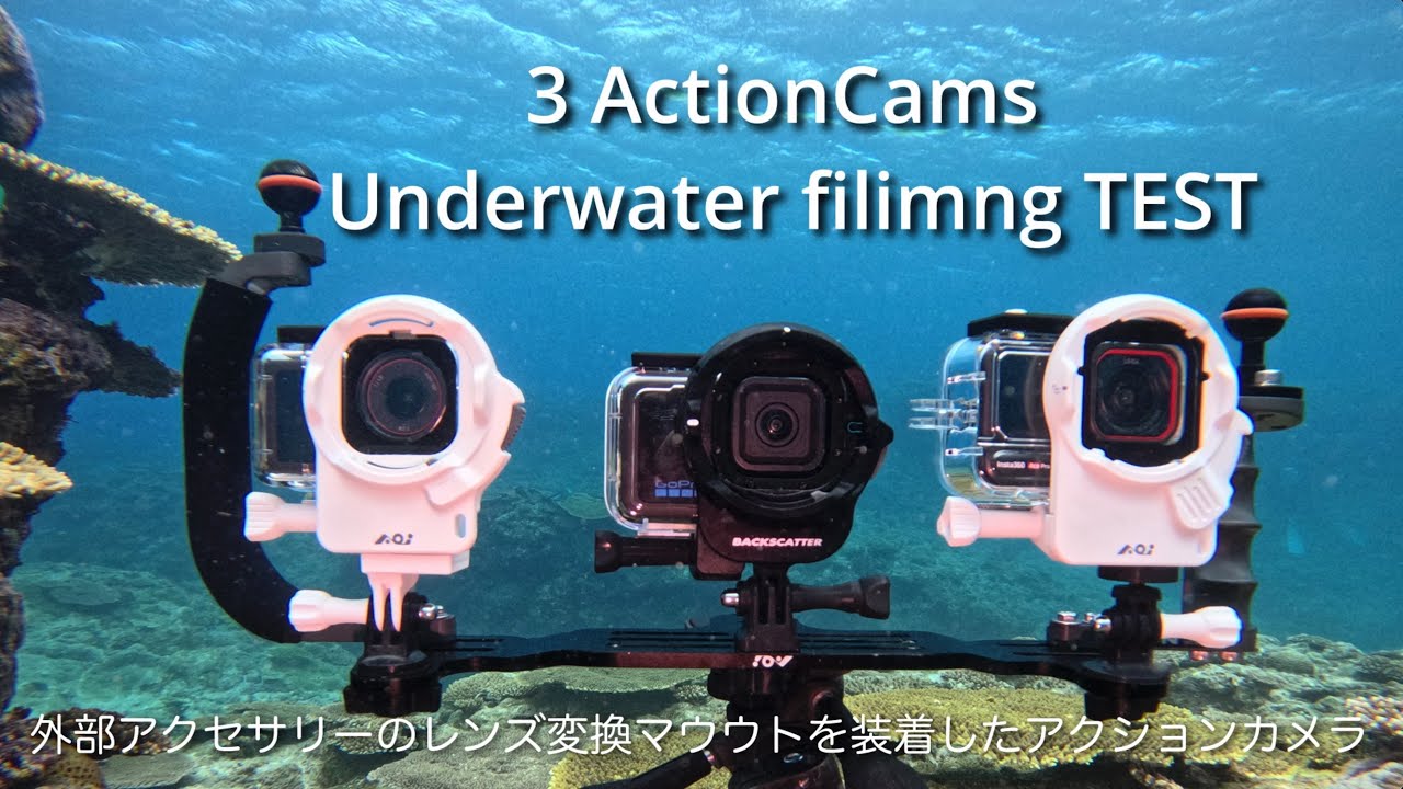GoPro・Insta360・DJIアクションカメラ最新機種水中動画撮影テスト 