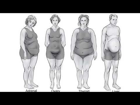 What If I Have a Mixed Body Type: What Do I Do? - What If I Have a Mixed Body Type: What Do I Do?