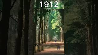 Colorized Footage Of Haarlem, 113 Years Ago A Walk Through Nature