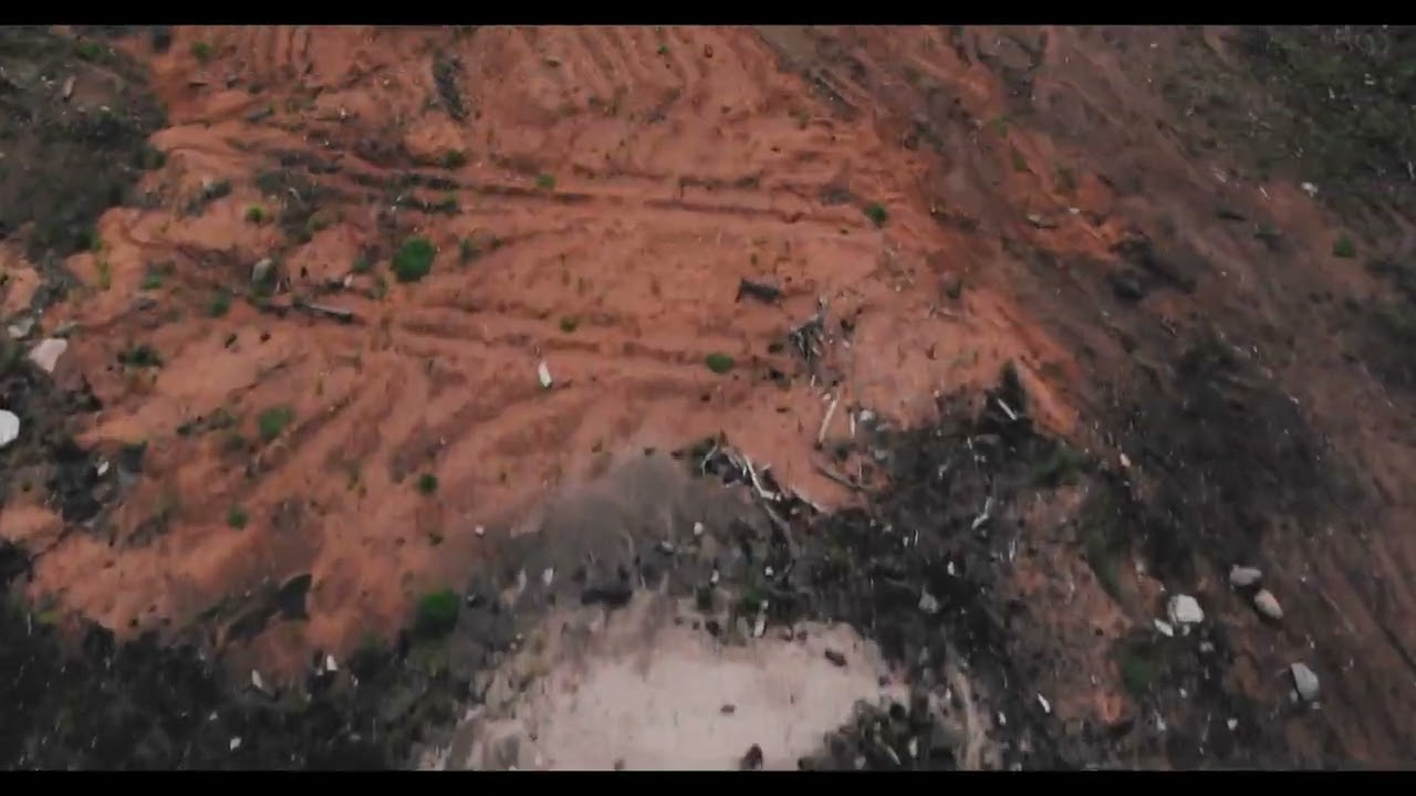 A Group of Beautiful Bird's @EternalRelaxation 