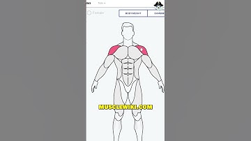 Cool websites if you are bored 😱👨‍💻 (part 13) - jSparrow #Shorts