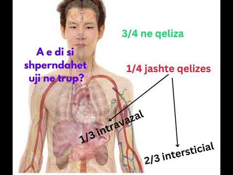 Video: Si shpërndahen ngarkesat?