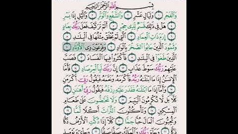 سورة الأعلى اية ١٦ الى ١٩ سورة الغاشية سورة الفجر سورة البلد 