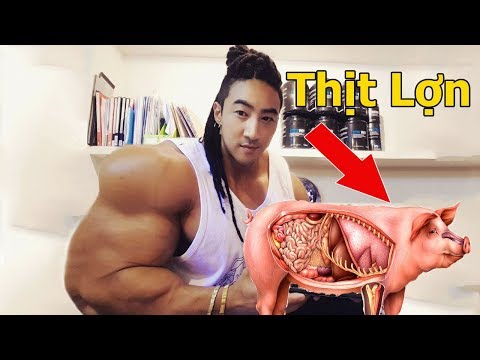 Video TẾT Đến Có Nên Ăn Thịt Lợn ? | Vậy Ăn Thịt Lợn Có Tốt... - youtube