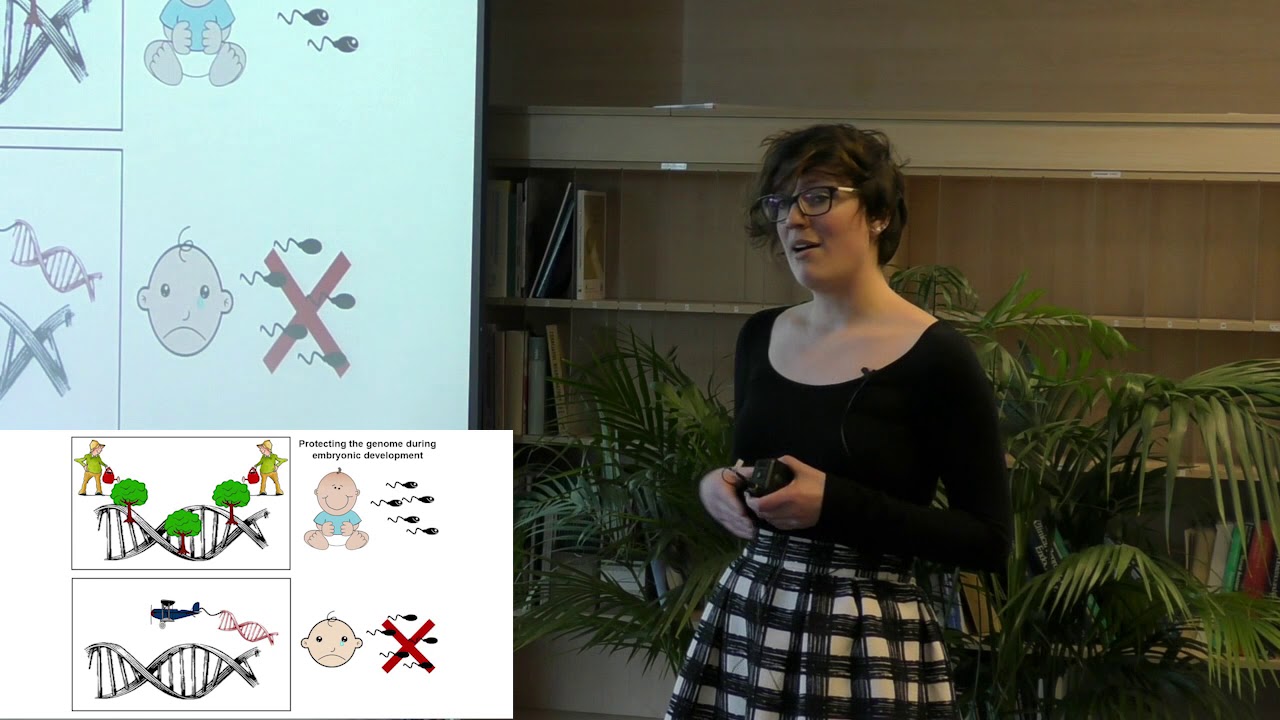 Sarah Moody 2017 3MT