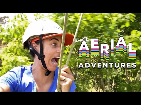 Aerial Adventures in Brotas, São Paulo Brazil – tree climbing and ziplines