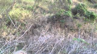 Maui Sugarcane Water Valve