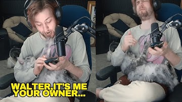 Testing Out a Cat & Dog Translator (GONE WRONG)