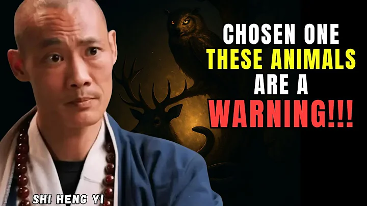 5 Animals That Appear During Your Spiritual Awakening (Don’t Ignore Them!)