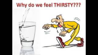 Why do we feel THIRSTY