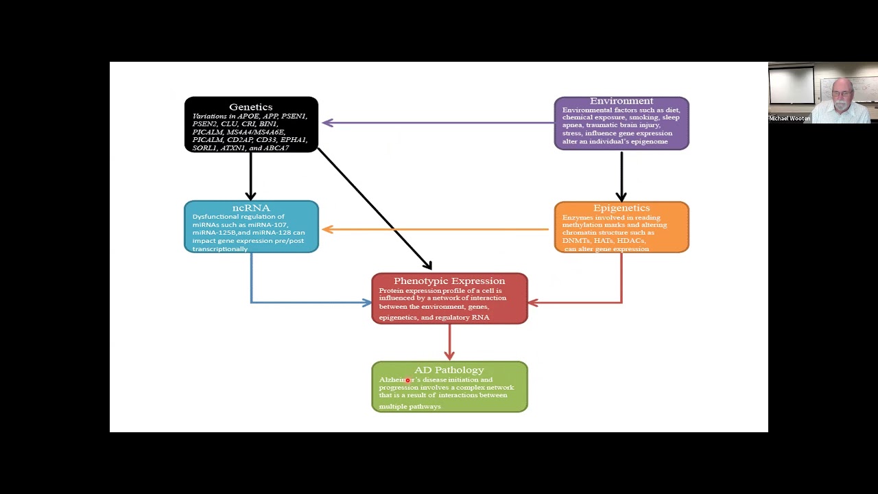 HG Behavior - Dementia