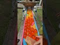 Marble Run ☆ Genius Performer Baby③