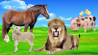 Sons de animais selvagens - predadores - animais domésticos - cachorro, gato, leão, tigre