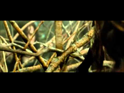 Lesní duch (Evil Dead) - trailer s CZ titulky