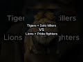 Did You Know Tigers Beat Lions In Fights рџђ рџ Ѓ Shorts Animalfacts Vsbattle Did You Know Tigers Beat Lions In Fights рџђ рџ Ѓ Shorts Animalfacts Vsbattle