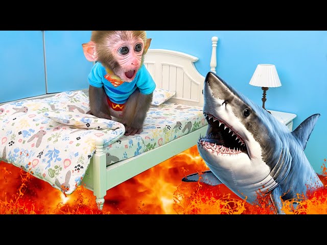 Monkey Baby Bon Bon goes shark fishing and eats watermelon and ducklings in the garden class=