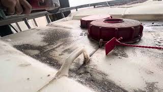 IBC Tote - Opening the Lid - Angle Grinder - Ferment Vat by KOFrass 67 views 3 months ago 4 minutes, 10 seconds