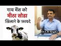 दुधारू पशुओं को मीठा सोडा खिलाने के फ़ायदे | Feeding of Cow | Sodium Bicarbonate | Dairy Ustaad